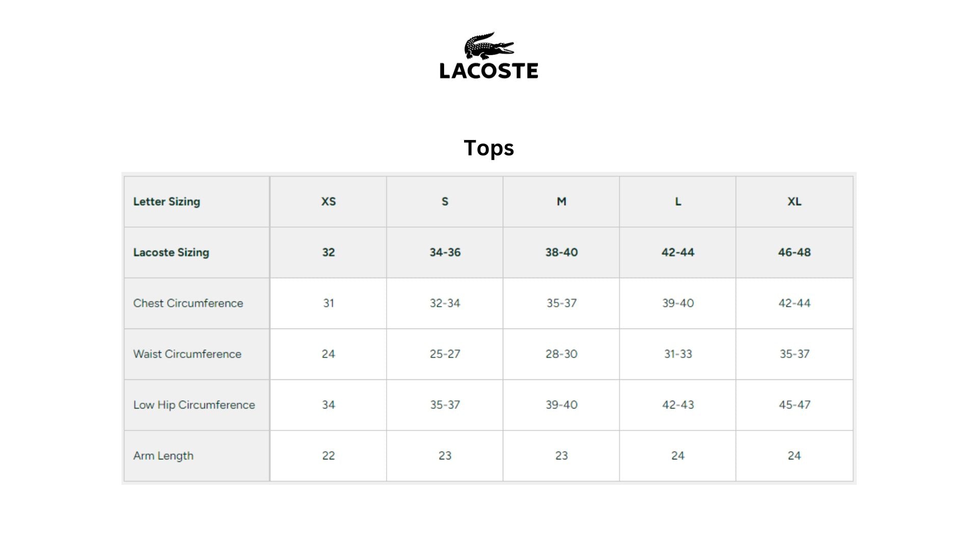 Lacoste - Unisex Loose Fit Large Crocodile Organic Cotton Tee Shirt